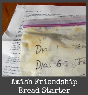 amish bread starter title