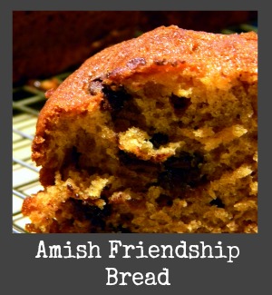 friendship bread title