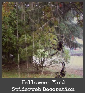 yard spiderweb title